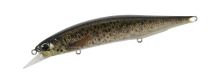 DUO - wobler REALIS Jerkbait 120 SP Pike Limited - Brown Trout ND